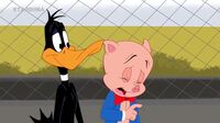 Looney Tunes Show  I47z25x610hf_t