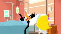 Looney Tunes Show  J5nvfiwkfmn3_t