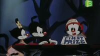 Animaniacs الضاحكون Loi3hk2jkyy6_t